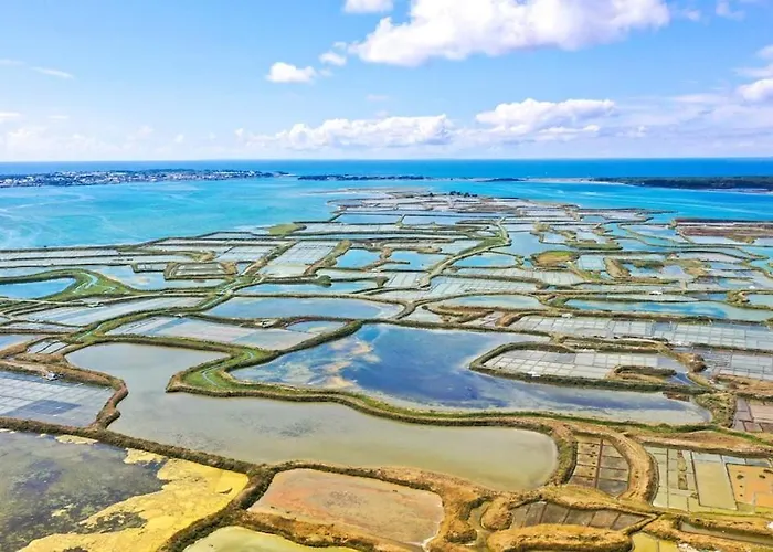 דירה Le Cocon Marin, A Deux Pas Du Centre Et De La