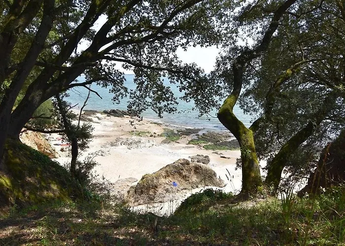 דירה Le Cocon Marin, A Deux Pas Du Centre Et De La