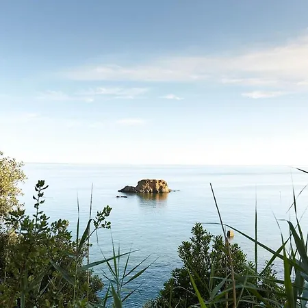 Le Cocon Marin, A Deux Pas Du Centre Et De La Lägenhet