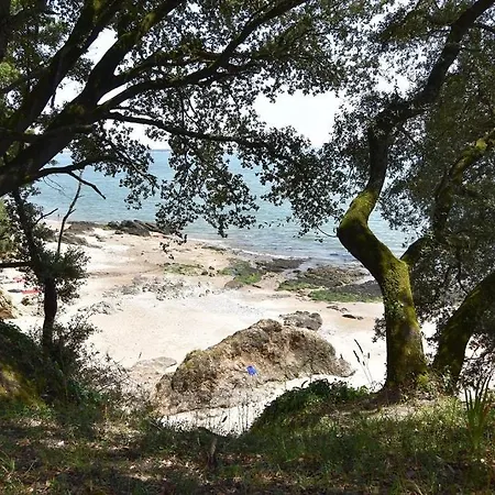 Lejlighed Le Cocon Marin, A Deux Pas Du Centre Et De La